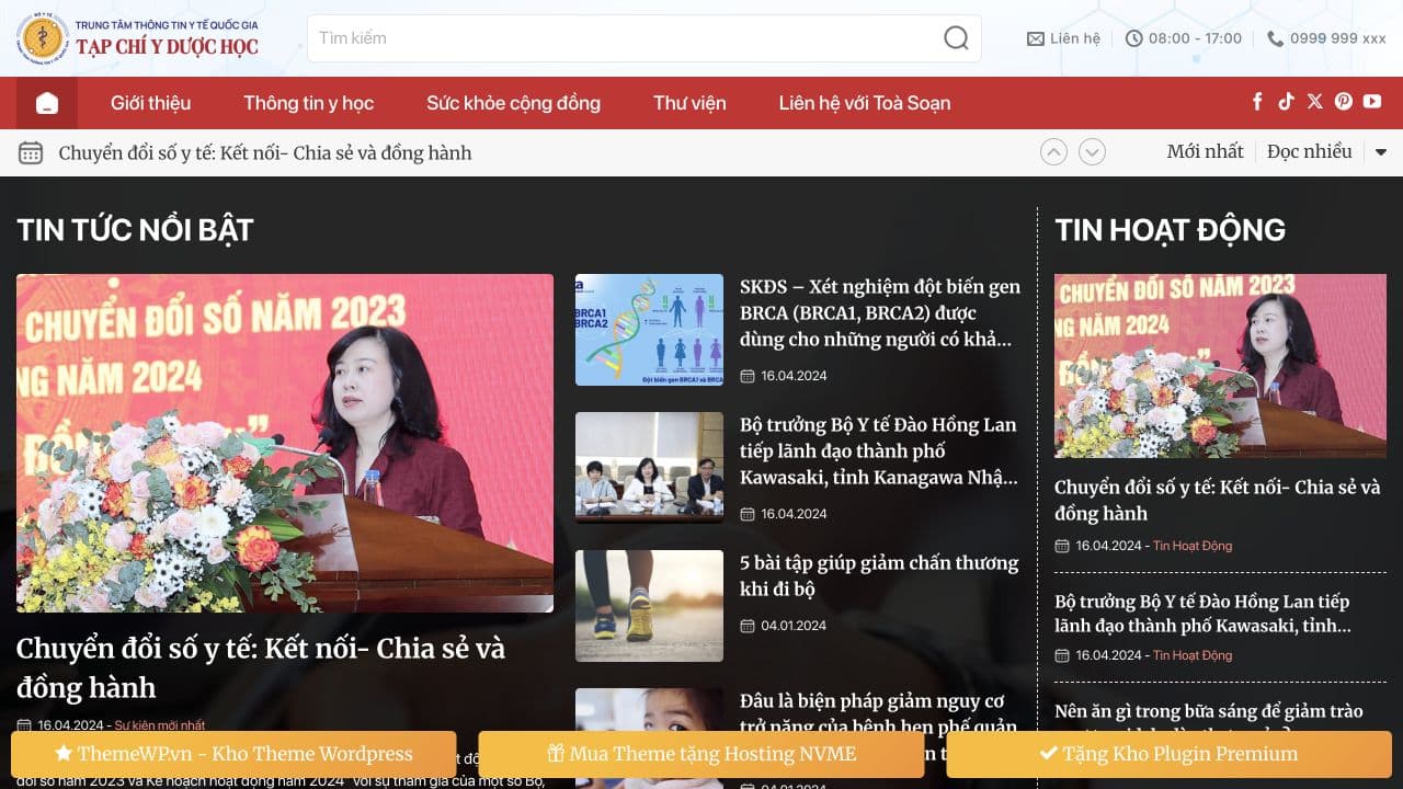 Mẫu website Cổng tin tức chuyên ngành — nguồn ThemeWP